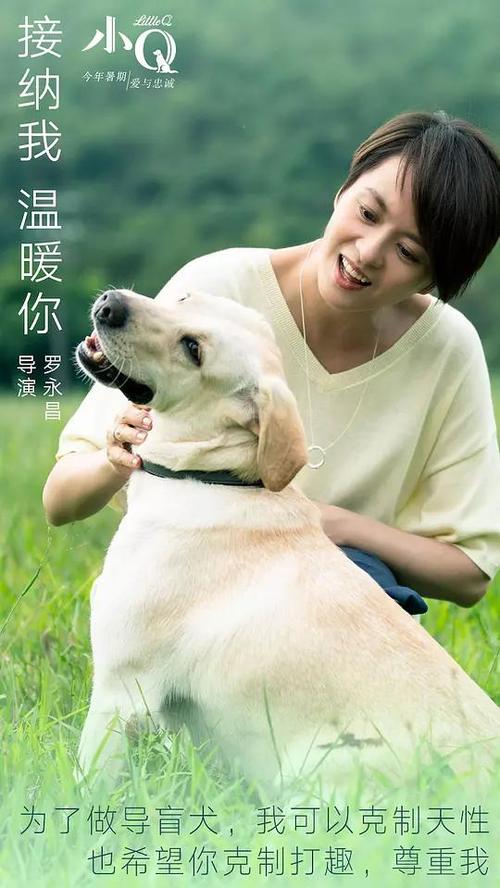 做个假圣泽维尔大学文凭毕业证